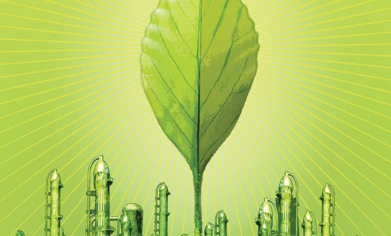 علوم الإدارة - صورة لورقة نباتية تطير فوق مديتة
